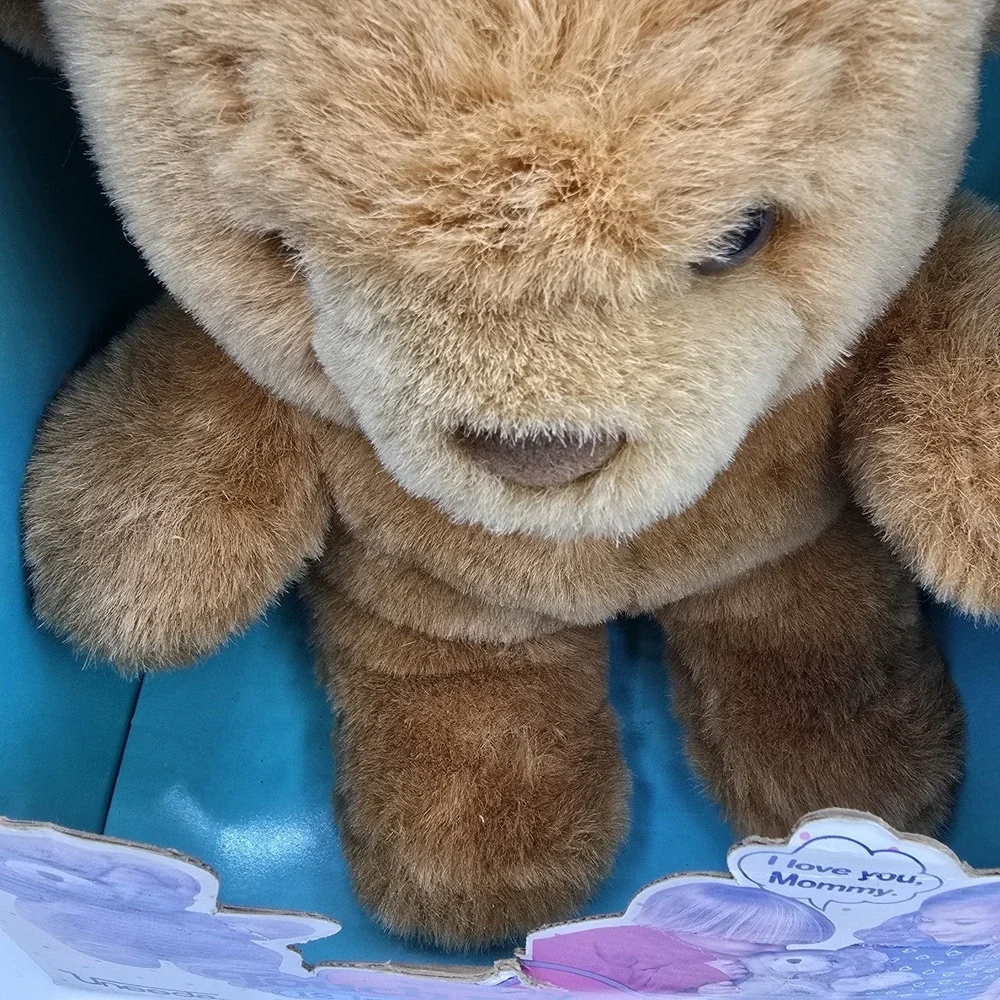 Rare Vintage Uneeda Talking Teddy Bear‎ 12